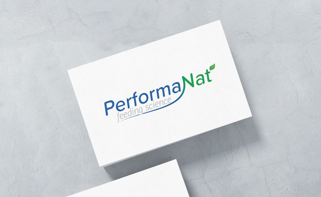 PerformaNat-Logo mit Blatt-Symbol auf Visitenkarten